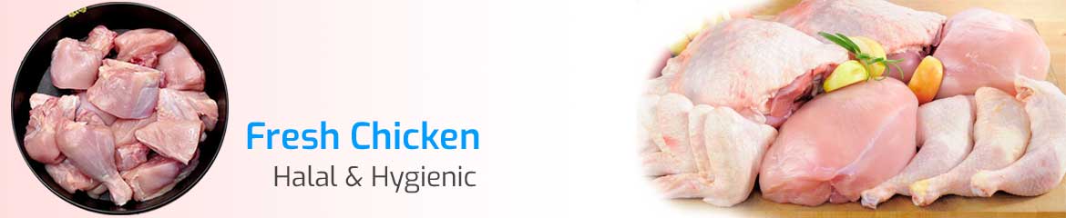 HALAL CHICKEN MARKET