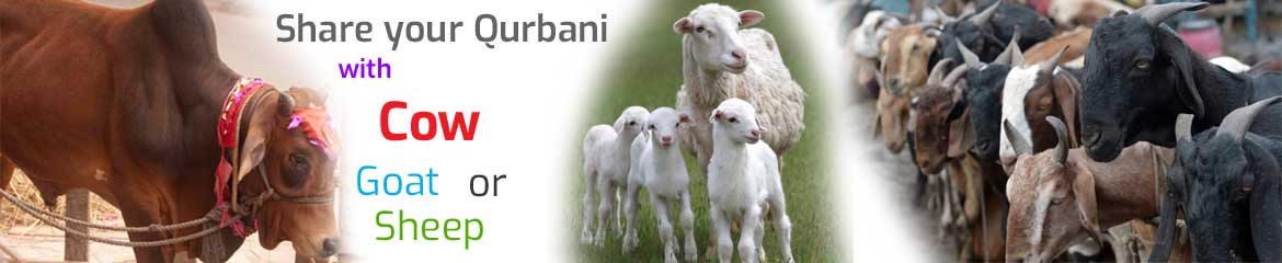 Qurbani- for Eid-Ul-Adha